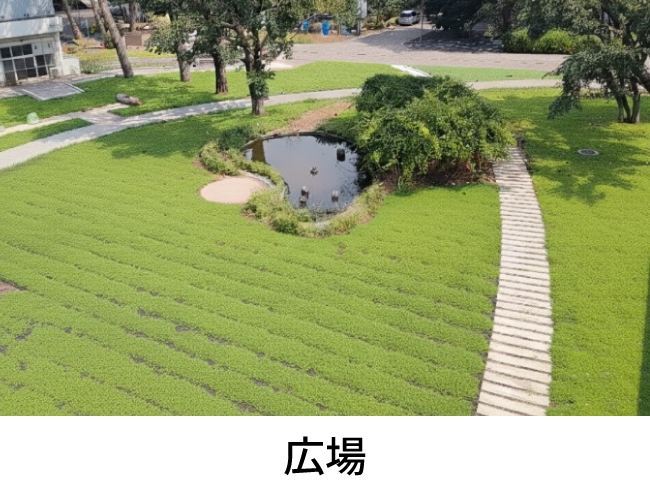 広場